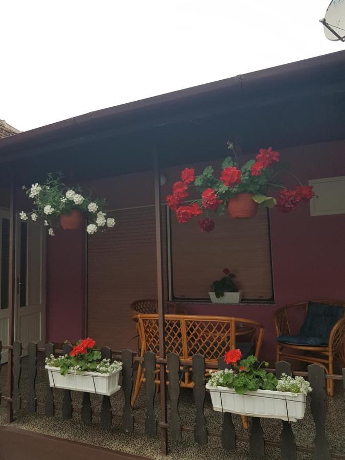 Apartmani, Sobe Ziza Bezdan Экстерьер фото